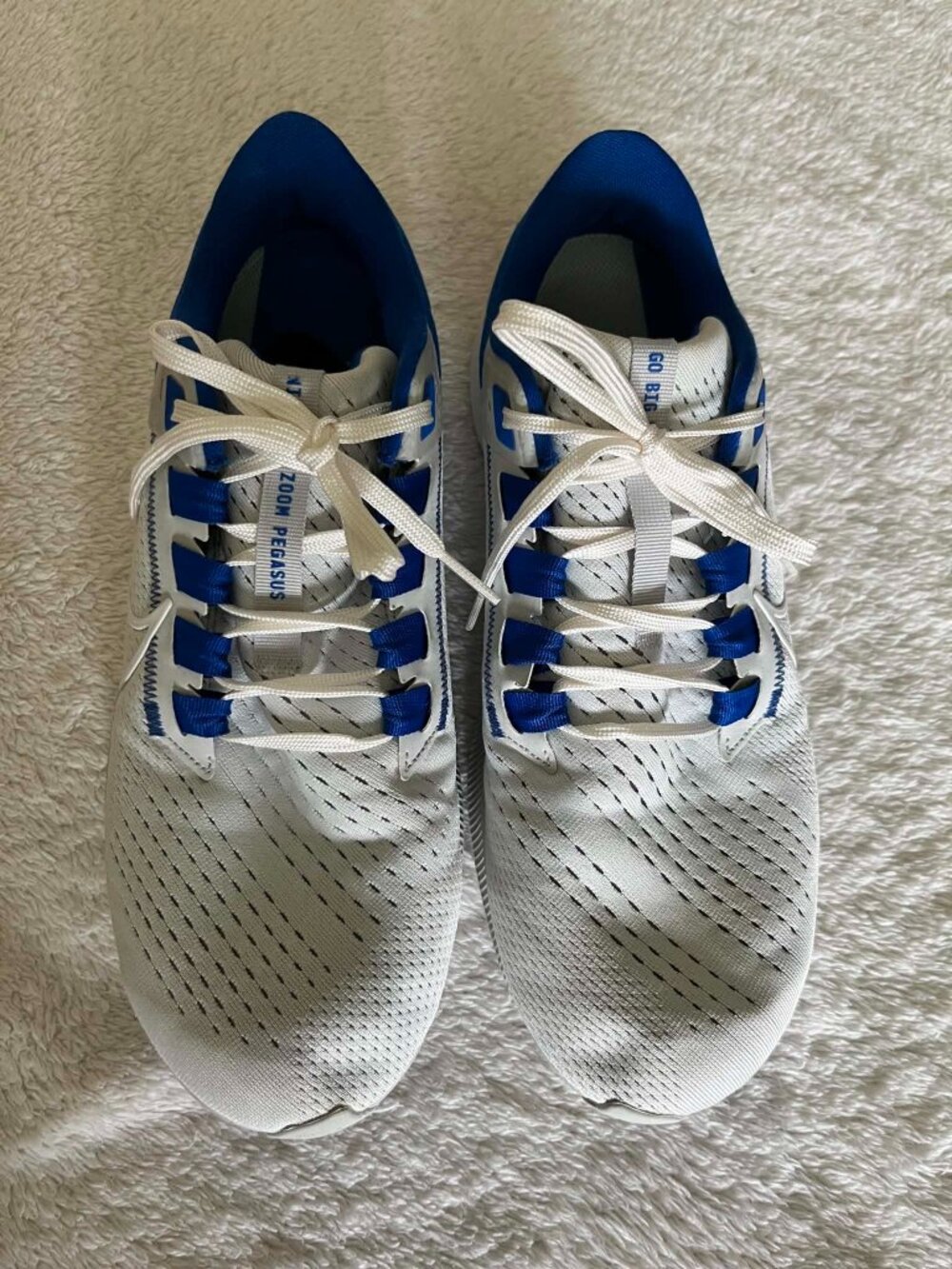 Nike Air Zoom Pegasus Running Shoes Kentucky Wildcats Men's size 9